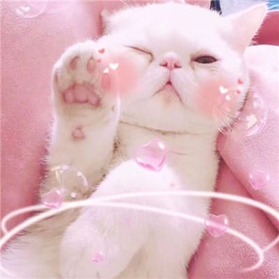 عبدالرازق avatar