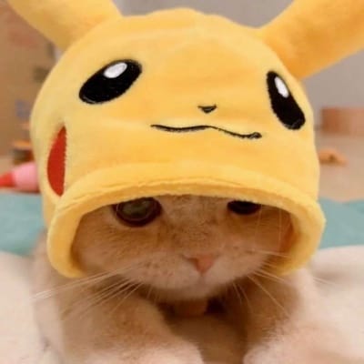 ایاز خان avatar